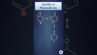 Phenol is acidic than alcohol WHY [upl. by Talich]