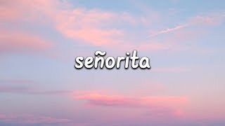 Shawn Mendes Camila Cabello  Señorita Lyrics [upl. by Dalia]