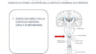 23 Vie discendenti [upl. by Jeramie]