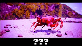 15 Crab Rave Sound Variations in 60 Seconds [upl. by Arem653]