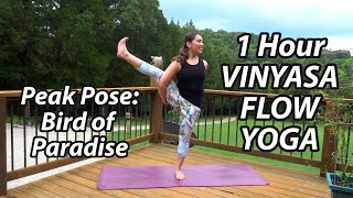 60 Minute Vinyasa Flow Yoga to Bird of Paradise 🦅 Improve Overall Balance amp Focus Intermediate [upl. by Kaehpos]