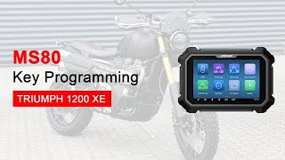 OBDSTAR MS80 Program TRIUMPH Scrambler 1200 XE Motorcycle Key ReRegister All Keys OBDII365 [upl. by Ainatnas781]