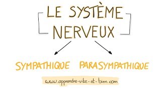 NEUROSCIENCES EN DESSINS  Système nerveux sympatique et parasympathique [upl. by Notlek]