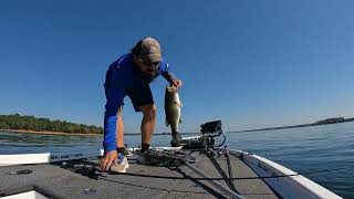 Lake Hartwell BFL Super Tournament Day 1 [upl. by Inar]