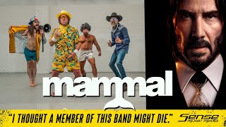 MAMMAL  quotI Thought A Member of This Band Might Diequot [upl. by Bain]