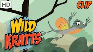 Wild Kratts  Gliding Like A Pro [upl. by Holland]