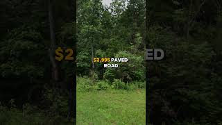 026 Acres for Sale in Williford Arkansas for 2995 [upl. by Naik]