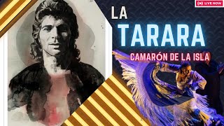 Camarón de la Isla  La Tarara Bass Flamenco [upl. by Ahsykal]