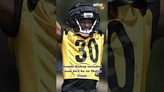 Steelers To Watch vs Texans Steelers NFL Shorts [upl. by Daugherty]