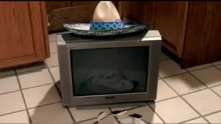 Adelphia Cable  Taco Commercial 2006 starring Paul Walker voice cast [upl. by Maurie]