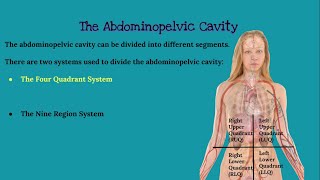 CHAPTER 1 Introduction to Anatomy and Physiology [upl. by Nelli]