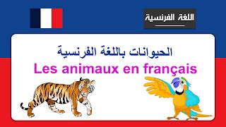 Les animaux en français [upl. by Novat416]