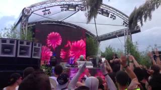 DJ BL3ND Tomorrowland 2013 [upl. by Alanson]