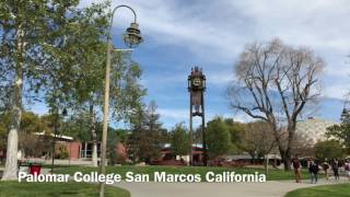 Palomar College Protest [upl. by Yevol851]