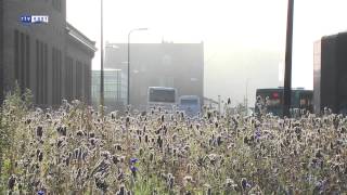 Bommen Deventer geruimd spoor en wegen weer vrijgegeven [upl. by Jacoby]