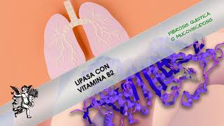 ¿No sabes qué hacer si sufres de FIBROSIS QUÍSTICA [upl. by Idnyc620]