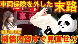 【永久保存版】車両保険を入れても保険料を安くするテクニック [upl. by Nnire]