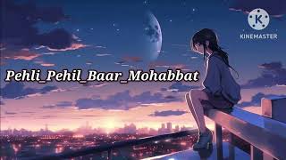 Pehli Pehli Baar Mohabbat Ki Hai lofi song [upl. by Jeanne]