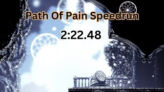 Hollow Knight Path Of Pain in 22248 [upl. by Midis]