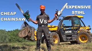 CHAINSAW TEST  CHEAP Vs EXPENSIVE [upl. by Anewor]