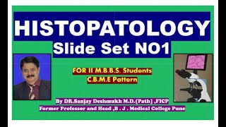 Histopathology Slides SET 1One Rapid Revision Of PATHOLOGY Dr Sanjay Deshmukh cont Set2 [upl. by Eitsirk]