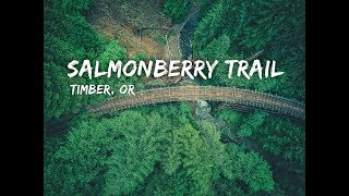 Abandoned Railroad Hike in Oregon [upl. by Egroeg]