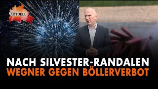 Wegner gegen Böllerverbot [upl. by Siriso]