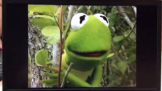 Kermit’s Swamp Years VHS And DVD Teaser Trailer With Now Available On Home Video Bumpers [upl. by Grunenwald]