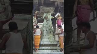 karthikamaasam sivaparvathi nandi chagantikoteswararao lingam abhishekam shortsviral [upl. by Ancier]