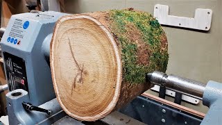 Woodturning  Youve Got to Love a Laburnum Log [upl. by Galatia]