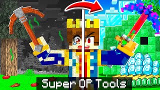 Minecraft But YOU CAN TRANSFORM SUPER OP TOOLS [upl. by Nanfa]