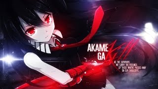 Infernal Raid  Akame Ga Kill AMV [upl. by Lienet368]