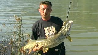 Zvorničko jezero  Pecanje deverike  Varaličarenje  Fsihinig big pike [upl. by Kcaz]