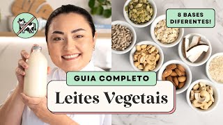 COMO FAZER LEITE DE COCO AVEIA CASTANHA E MAIS APRENDA 8 LEITES VEGETAIS BARATOS [upl. by Telfer785]