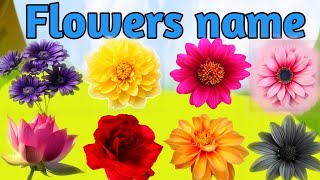 50 Flowers nameफूलों के नामFlowers name with spellingKids learningtheroameranvi [upl. by Kcirdahc]