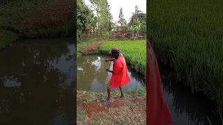 Fishing has bring losswait the end and subscribe [upl. by Josephina]