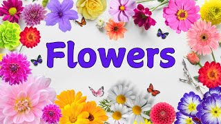 Flowers Names  Flowers Name for Kids  Flowers Name with Pictures  Learn Flowers Name in English [upl. by Esetal995]