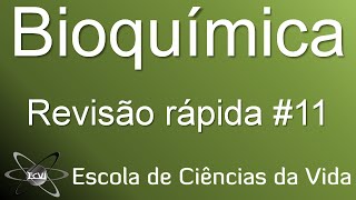 revisão rápida de bioquímica 11 ciclo da alanina [upl. by Kitti]