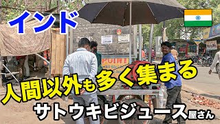 【インド屋台】人間以外もたくさん集まる人気店、サトウキビジュース店 [upl. by Patton]