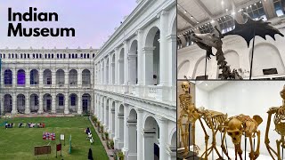 Indian Museum Kolkata  Indian Museum Kolkata Tour  India’s Largest and Oldest Museum  4K [upl. by Tedman]