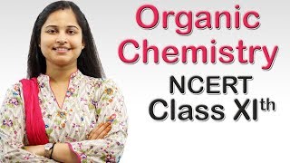 Organic Chemistry  Partition Chromatography Class 11th CBSE Chemistry [upl. by Vinn]