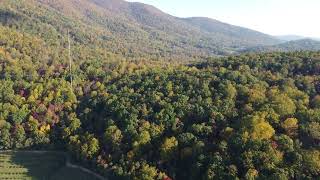 Crozet Peach Orchards continued [upl. by Joshi40]