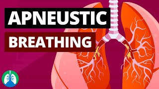 Apneustic Breathing Medical Definition Quick Explainer Video [upl. by Mittel]