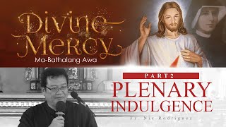 PART 2  Divine Mercy  Plenary Indulgence [upl. by Ferwerda164]