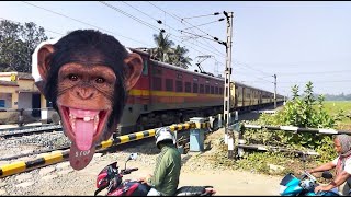 Chimpanzee Headed Kaviguru Express  Dangerous amp Furious Moving Throughout At Railgate [upl. by Nallad]