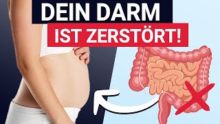 Diese 5 Symptome zeigen dass deine Darmflora zerstört ist [upl. by Ruphina]