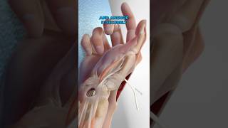 Basal Joint Surgery 3D Animation [upl. by Izaak783]