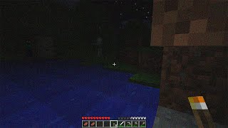 rare lost footage of herobrine in beta minecraft 2011 [upl. by Jecon]