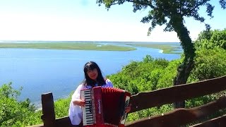 WIESLAWA DUDKOWIAK ACCORDION MEDLEY MELODIES Vol 2 [upl. by Savadove997]