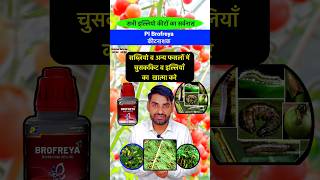 इल्ली व चूसक कीटों का खात्मा 👌 Pi Brofreya insecticide bhartiyakisanभारतीयकिसान shorts farming [upl. by Krystin]